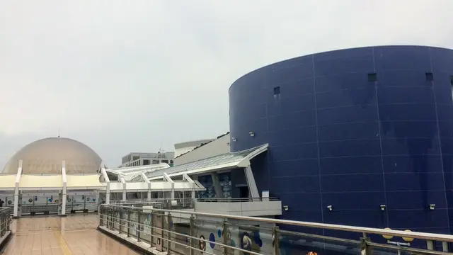 名古屋雨の日デートプラン（水族館編）