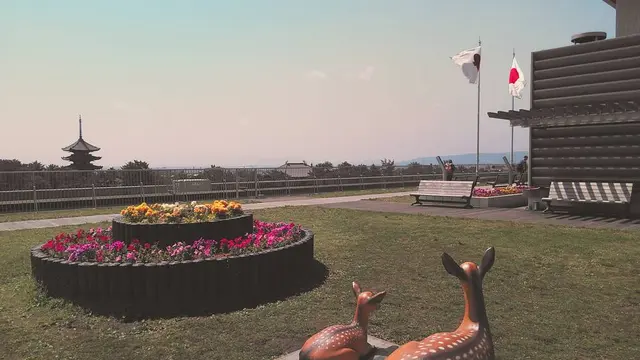奈良公園界隈 見て歩き&食べ歩き
