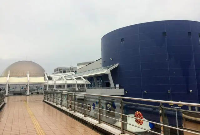 名古屋雨の日デートプラン（水族館編）