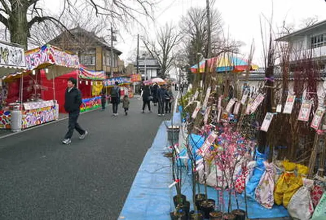 「きくち初市2019」400年続く春の風物詩！今年は伝統の初市に新しい試みが加わります‼