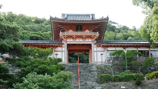 紀三井寺生まれの建築士さんがオススメする和歌浦・紀三井寺の定番ツアー