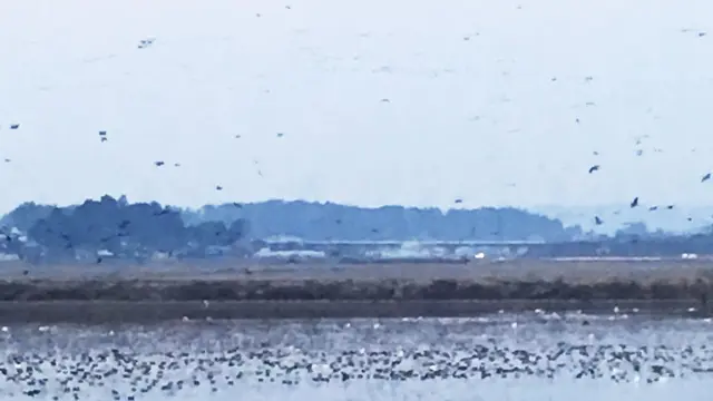 北東北周遊の旅