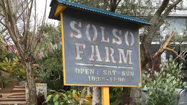 土日限定!多肉の楽園SOLSO FARMへ行こう!