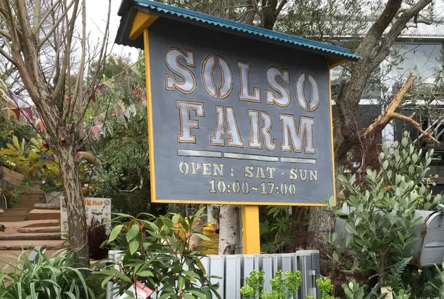 土日限定！多肉の楽園SOLSO FARMへ行こう！