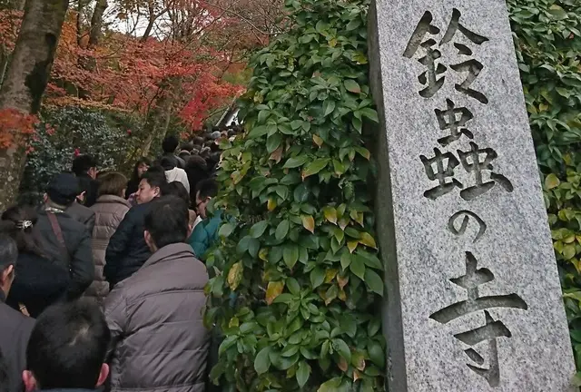 京都の縁結びスポット巡りの小旅