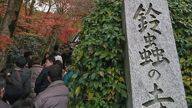 京都の縁結びスポット巡りの小旅