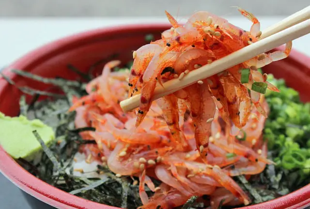 行列のできる漁港で新鮮桜えび丼を食べよう。