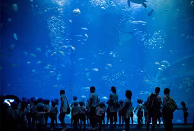 絶景と海の幸を満喫する日帰りドライブ