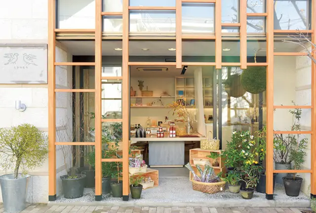隠れ家名店の多い国立でのんびりまったり過ごす休日。カラダにやさしいおいしいものと、おさんぽと。