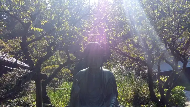 日帰り女子旅 ~北鎌倉ぐるぐる散歩~