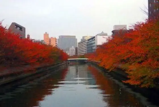 秋は紅葉も！