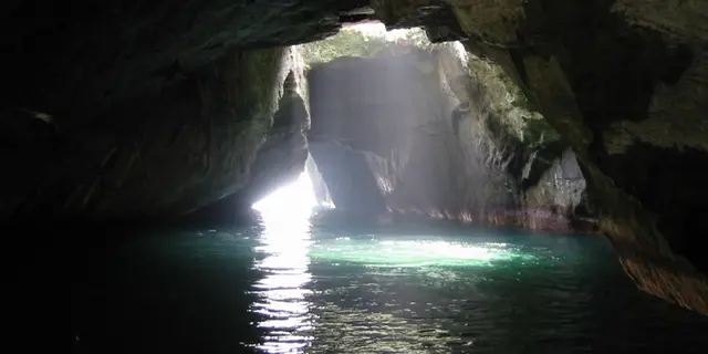伊豆と箱根＊欲ばり旅