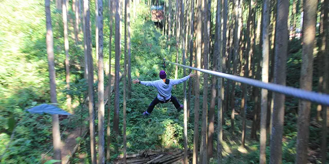 小田原から湘南、1日フル活用コース