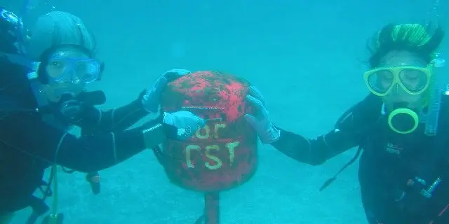 水中の中に本物のポスト⁈クリスマスには水中もみの木クリスマスツリー⁈伊豆海洋公園