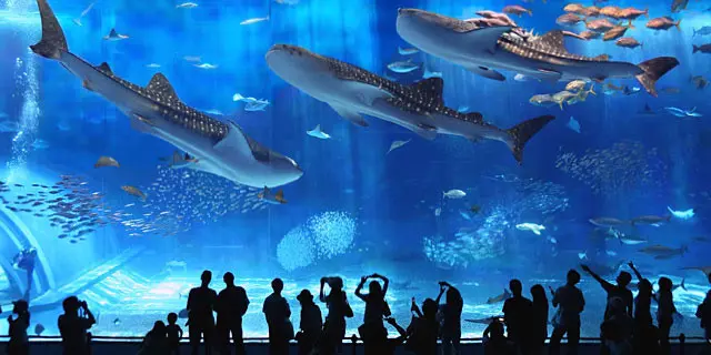 沖縄本島に一泊で行くならばこれっ！〜Aプラン