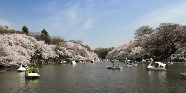 井の頭公園