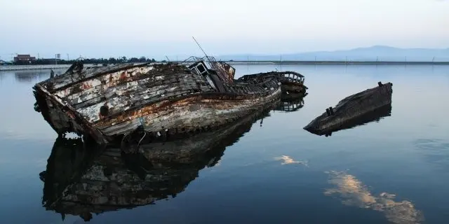 変わった島！？島根の大根島！