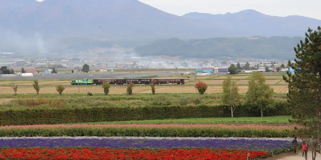 秋の富良野を満喫