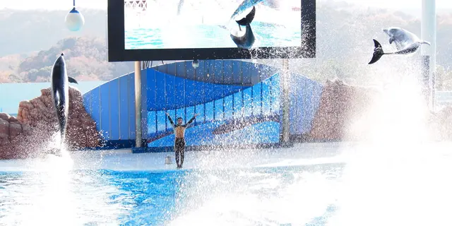 アドベンチャーワールドへ行く　南紀白浜の旅