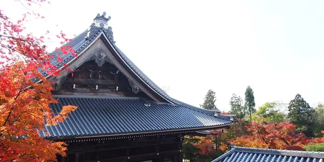 世界観光都市ランキング1位！秋の京都で本気で紅葉狩りしてみました！写真から感じてください♪