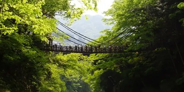 秘境と呼ばれる山間の地を楽しむ。平家落人伝説の残る「祖谷のかずら橋」、断崖に立つ「小便小僧」。