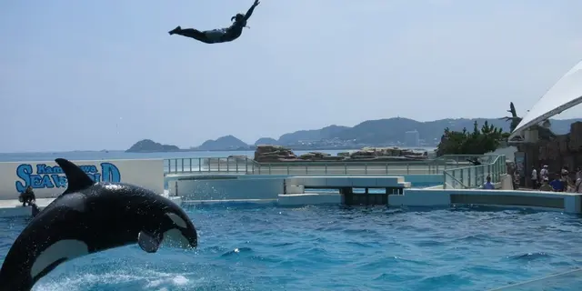鴨川シーワールドへ向けて！南房総、海沿いドライブ！