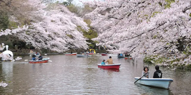 吉祥寺はアウトドア店の宝庫！山やキャンプ用品を揃えるならここに行こう！