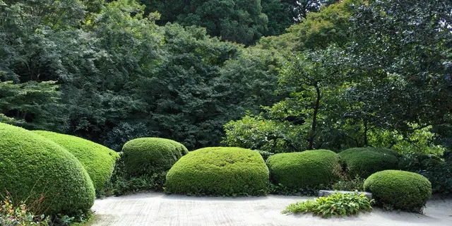 読書好きに！京都下鴨〜一乗寺の街歩き