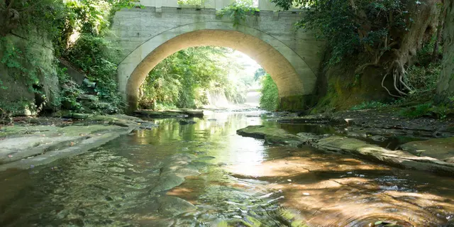 鎌倉　私的撮影スポット(七里ヶ浜、東勝寺橋、鎌倉宮)