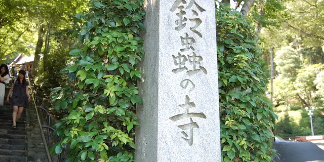 紅葉の名所・嵐山観光＆願いごとが叶うと有名な鈴虫寺へ。