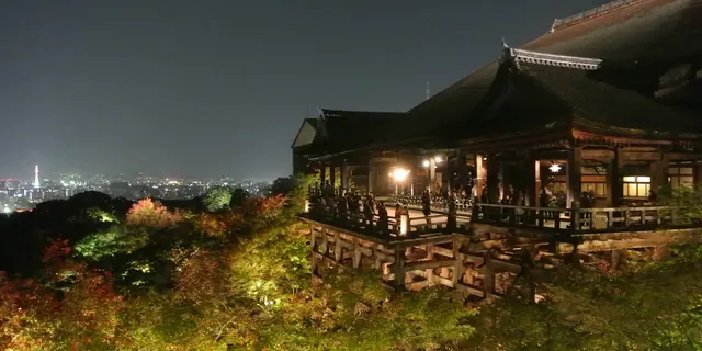 ライトアップされた夜の清水寺へ！
