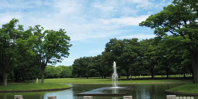 代々木公園満喫コース