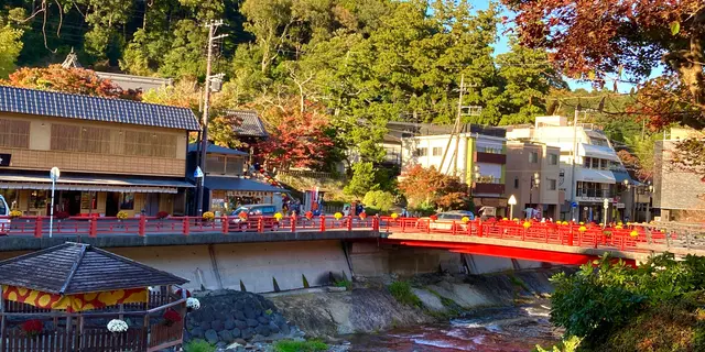 踊り子号で三島🗻修善寺♨️御殿場イルミ🌟2泊3日 行程表有り