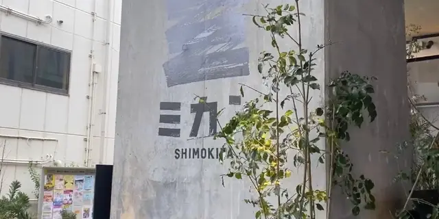 【東京】下北沢で話題のスポット！昼のみからのカフェ、古着屋さん巡り🍊