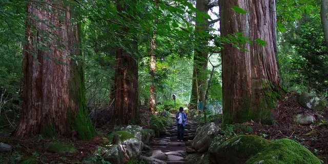 パワースポット日光二社一寺⛩とプリン🍮