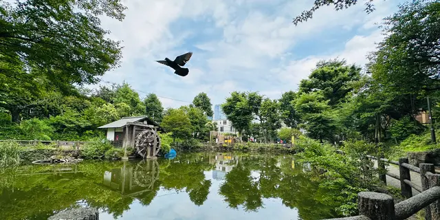 【渋谷】駅周辺の公園マップ🛝穴場/休憩スポット/子どもの遊び場