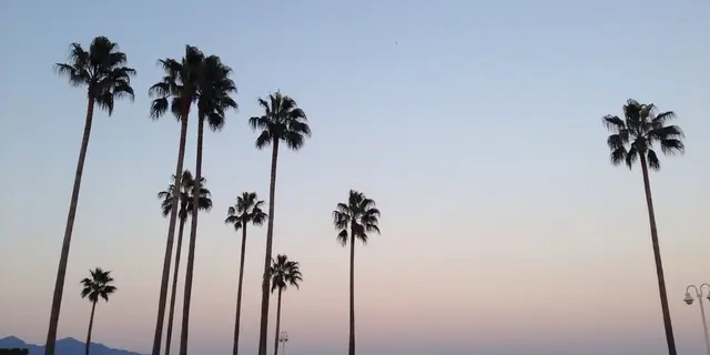 2巡目の別府ぶらり♪温泉好きの女友達と☆