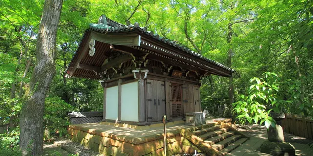 【東京】 厄除け・縁結びに効果あり！パワースポット深大寺