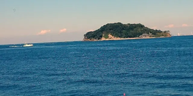 猿島探検→電車移動で休憩→横浜ディナー