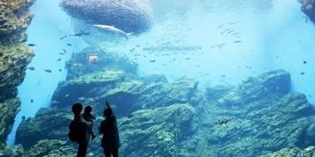 仙台★仙石線欲張りツアー
