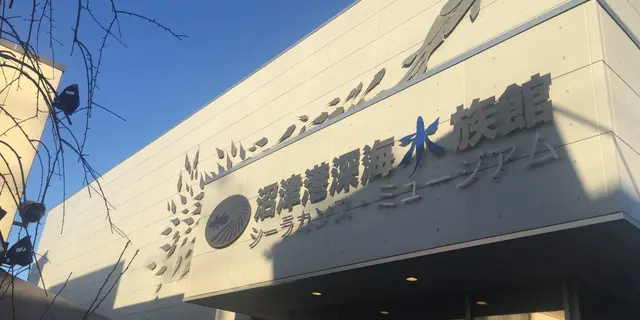 深海の世界を堪能〜沼津港深海水族館へ行こう！