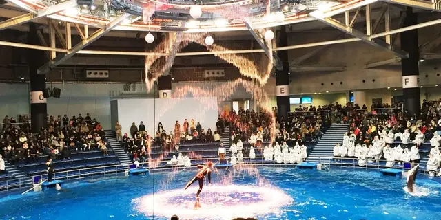 雨の日デートにぴったり❤︎エプソンアクアパーク品川