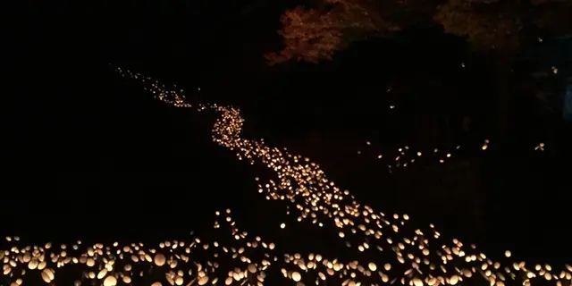 【18県目】大分の2泊3日(初投稿)