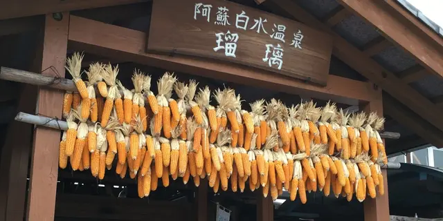 【阿蘇時間⑨南阿蘇〜白川〜熊本市内】