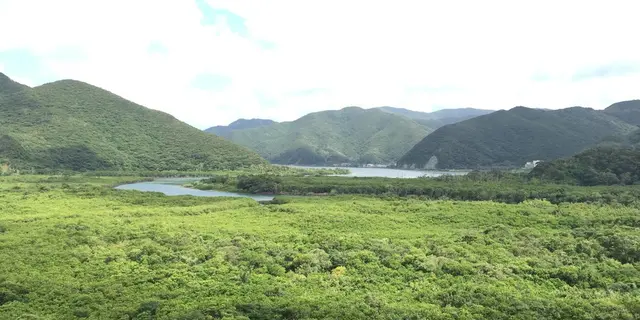 奄美大島の真ん中で自然に浸かる。リピーターの方必見！山に囲まれた住用町でのんびり過ごそう。