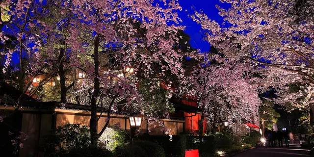 2018秋のデート