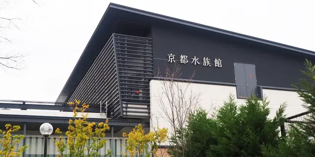 京都のおさかなさん