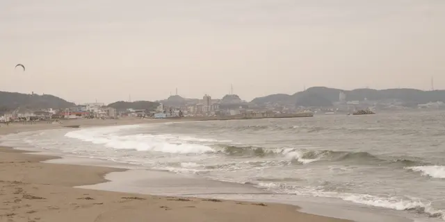 みさきまぐろきっぷで三浦半島を満喫する1日♪