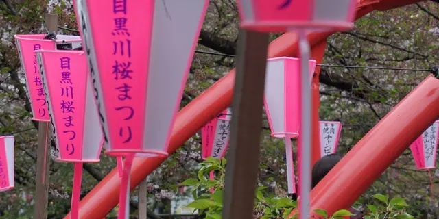 東京ぶらりで満喫しましょう。