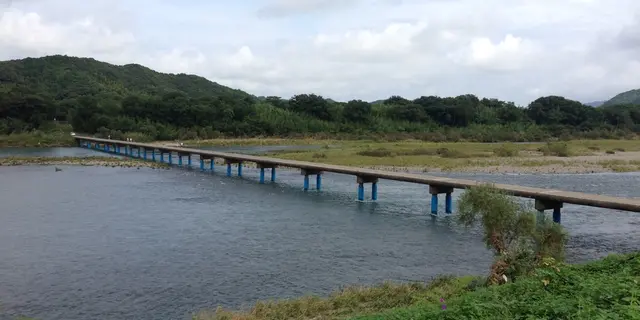 わんこと四国